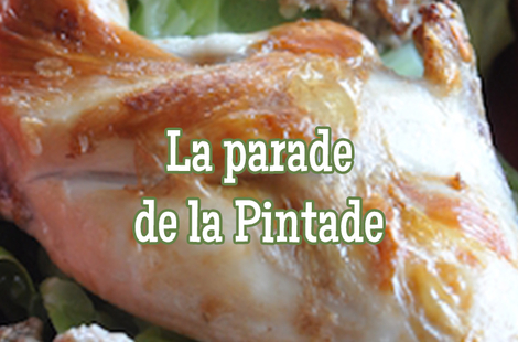 Recettes pintade