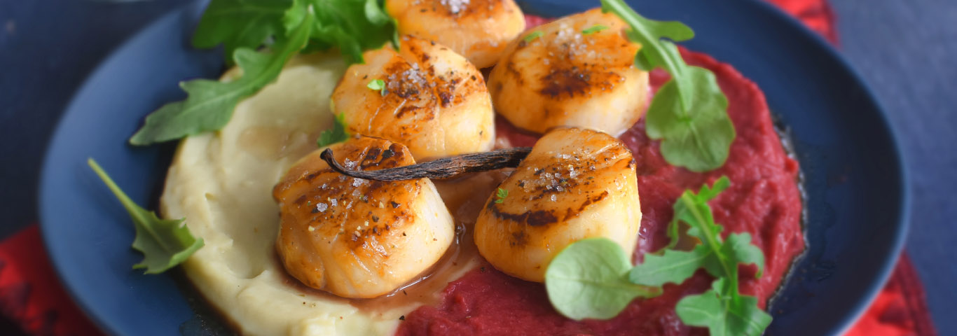 Recette de Saint-Jacques Poêlées à la Vanille et duo de purées au Yaourt YAOS