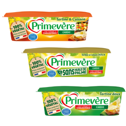 PRIMEVERE MATIERE GRASSE A CUIRE ET TARTINER 63%MG 250G 