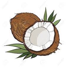 noix de coco râpée