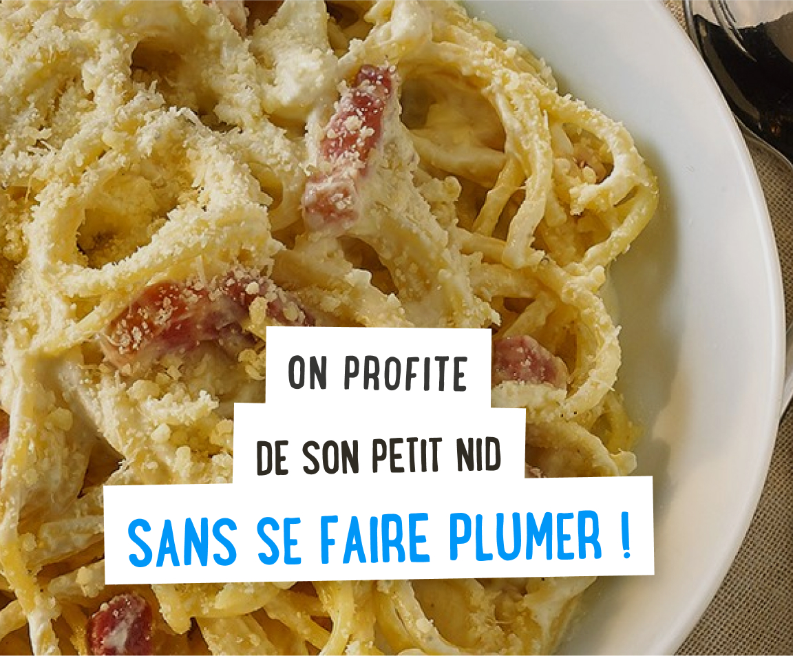 On profite de son petit nid, sans se faire plumer !