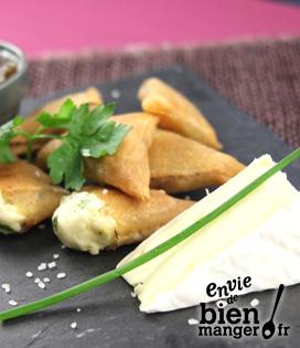 Recette de Samossas de brie Roitelet épicé