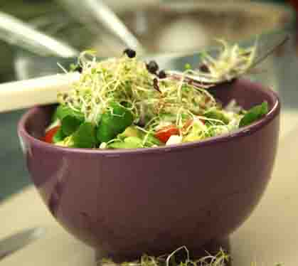 Recette de Petite salade de riz, tomates cerises, avocat et graines germées
