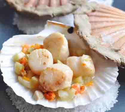 Recette de Noix et tripes de Saint-Jacques en coquille lutées au sarrasin