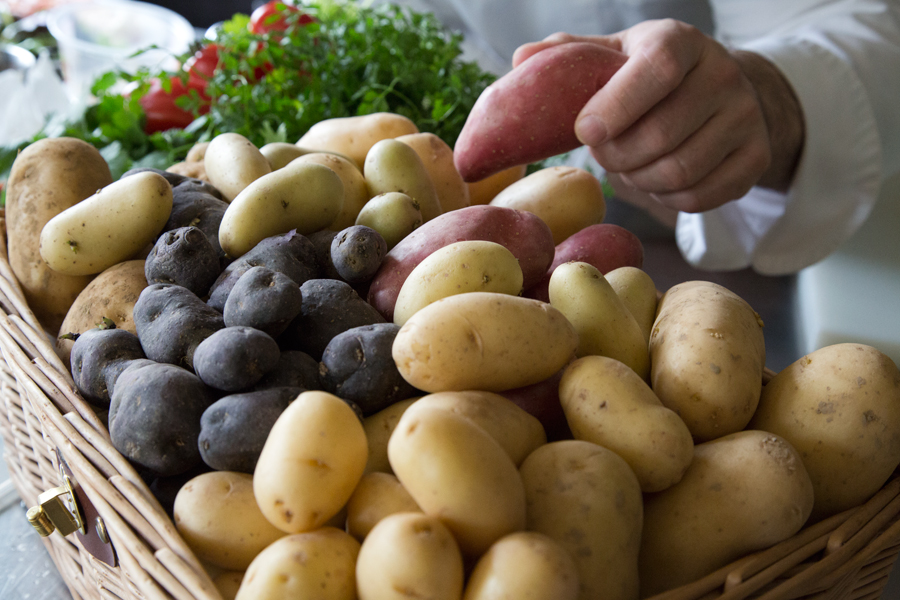 Tout savoir sur les pommes de terre pour bien les cuisiner