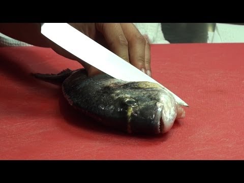 Comment cuisiner le poisson pour conserver toute sa saveur ?