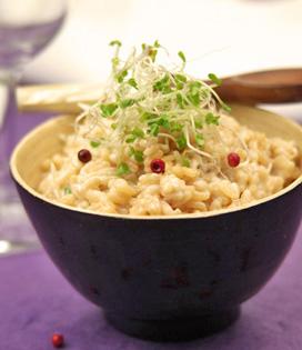 Risotto, paëlla, cantonnais ou riz au lait, plus de 30 recettes à base de riz faciles et parfumées