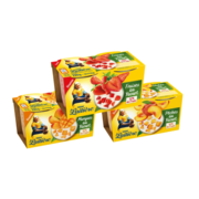 La Laitière Fruits au yaourt x4