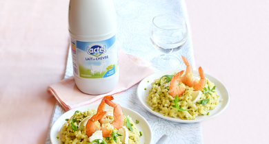 Risotto au lait de chèvre Lactel, gambas et pesto