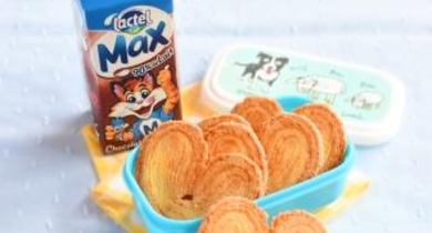 Lactel Max chocolat et ses palmiers maison