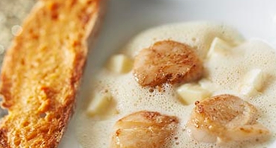 Saint-Jacques de Normandie et sabayon au camembert Lanquetot