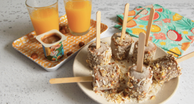 Yaourt glacé « petit chocolat/noisette » avec éclats de noisettes et coco
