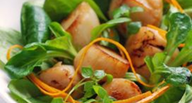 Noix de Saint-Jacques poêlées Président et salade de mâche 