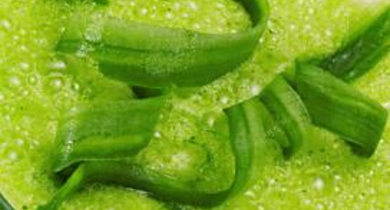 Smoothies concombre, pomme, kiwi