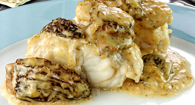 Fricassée de lotte aux morilles et vin jaune