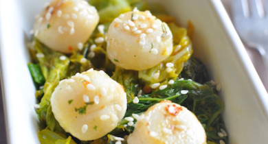 Noix de Saint-Jacques, embeurrée de chou