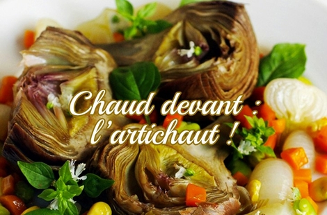 Entrées ou plats : l’artichaut se dévoile dans nos recettes