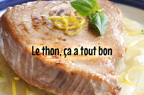   Recettes et astuces pour bien cuisiner le thon à la maison