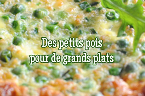 Timide  mais savoureux, le petit pois s'invite en cuisine