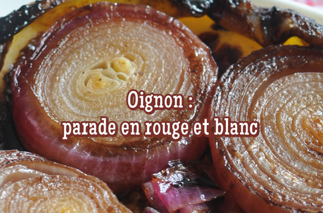 Cuisinons l'oignon au quotidien