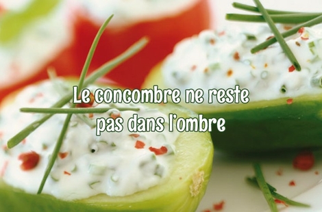 Le concombre apporte de la frâicheur à votre menu. 