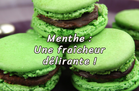 La menthe apporte de la fraîcheur à vos recettes quotidiennes