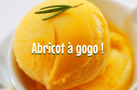 Abricot à gogo !