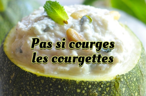Plats, recettes faciles et savoureuses avec nos légumes chouchou : les courgettes