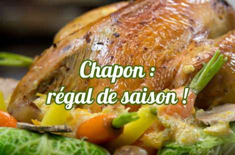 chapon