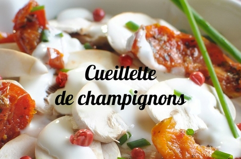 Recettes champignons