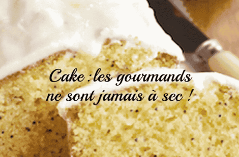 Mug, push, mini, cheese… le cake se met dans tous ses états