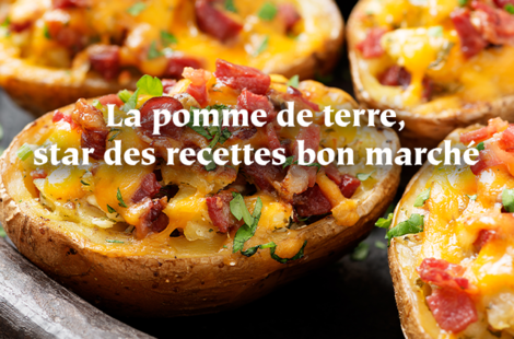 Pomme de terre, star de vos recettes