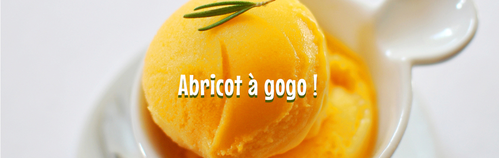 Abricot à gogo !