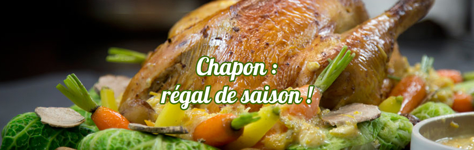 chapon