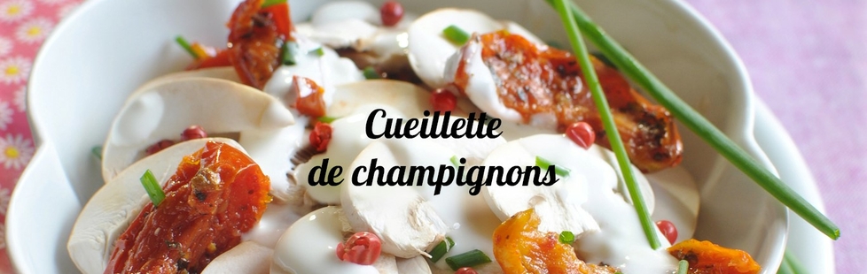 Recettes champignons