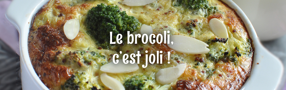 Recettes colorées à dévorer avec des brocolis.