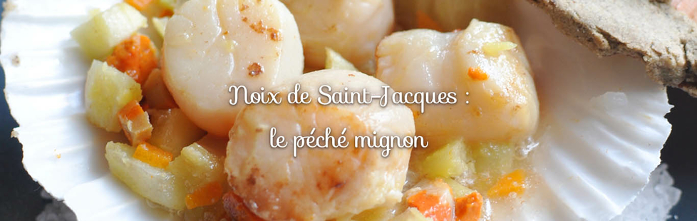 noix de saint jacques