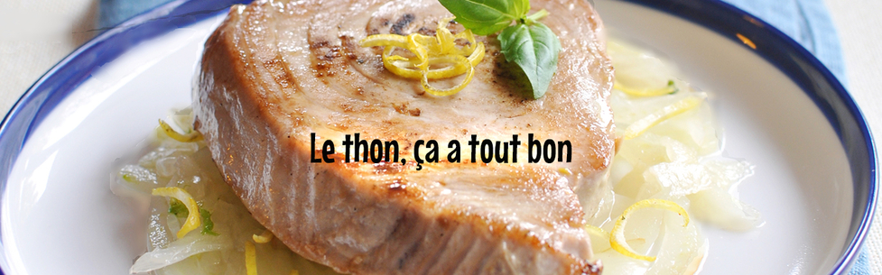   Recettes et astuces pour bien cuisiner le thon à la maison