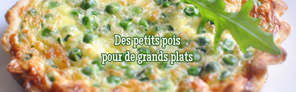 Timide  mais savoureux, le petit pois s'invite en cuisine