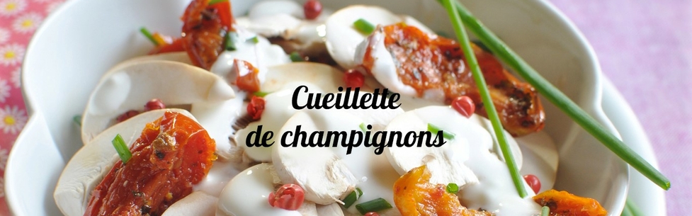Recettes champignons