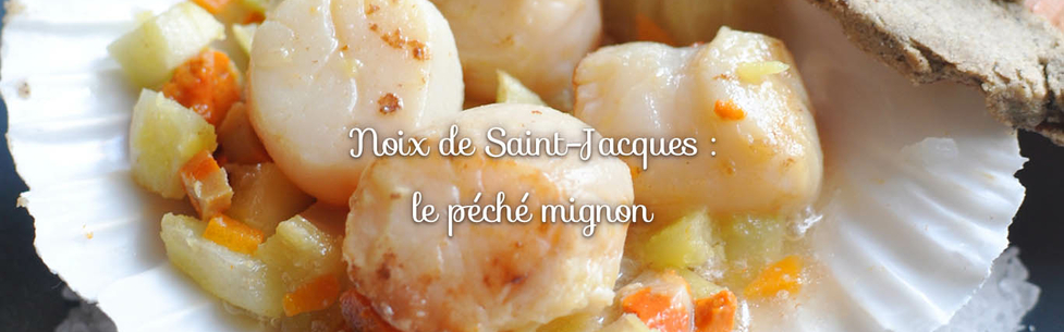 noix de saint jacques