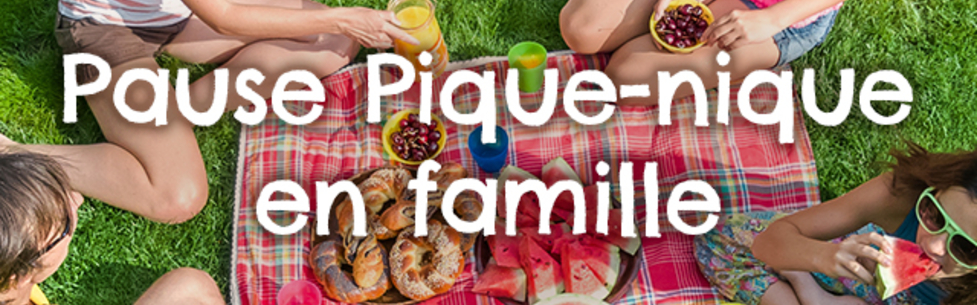 pause_pique_nique_en_famille