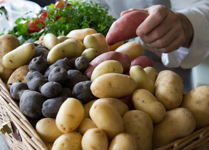  Tout savoir sur les pommes de terre pour bien les cuisiner 