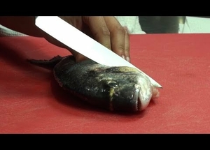  Comment cuisiner le poisson pour conserver toute sa saveur ? 