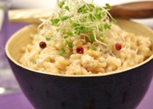  Risotto, paëlla, cantonnais ou riz au lait, plus de 30 recettes à base de riz faciles et parfumées 