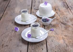 Panna cotta à la confiture de myrte et au Brocciu AOP Corsica