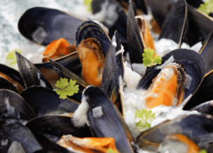 Moules au Roquefort Société Bio