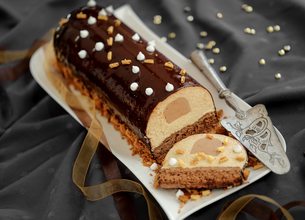 Bûche de Noël glacée