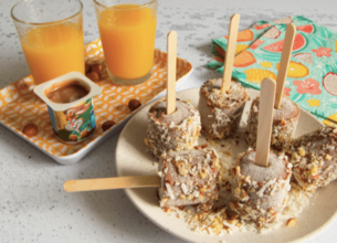 Yaourt glacé « petit chocolat/noisette » avec éclats de noisettes et coco
