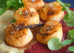 Saint-Jacques Poêlées à la Vanille et duo de purées au Yaourt YAOS